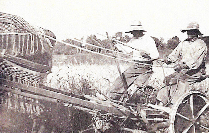 LA MECANITZACIÓ DEL CAMP