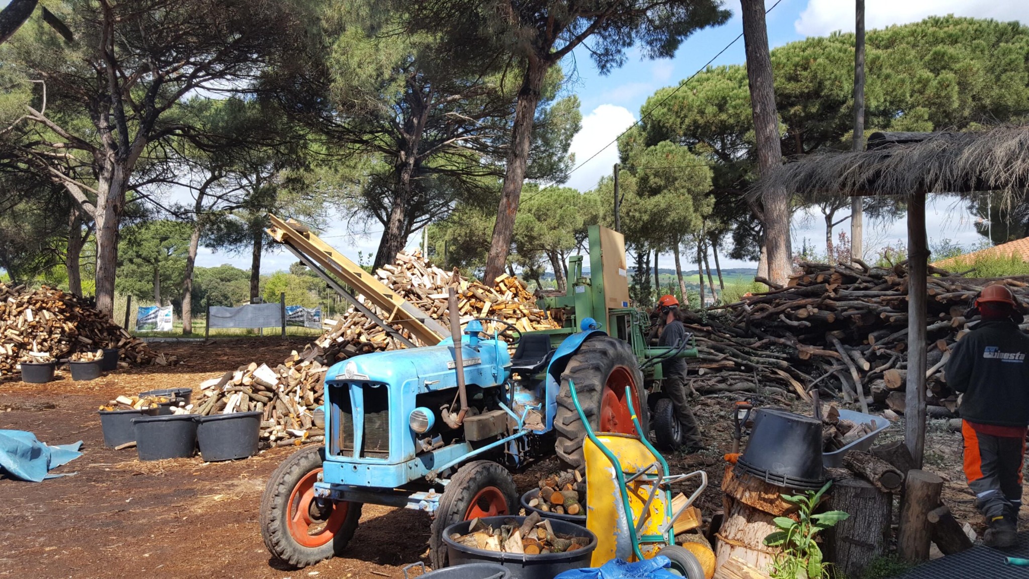 Preparació de llenya a Santa Agnès