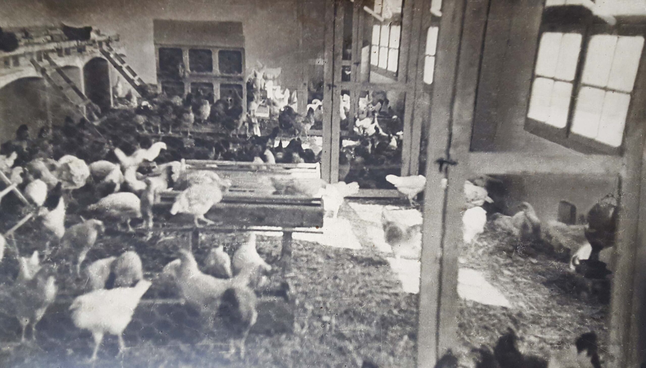LA GRANJA