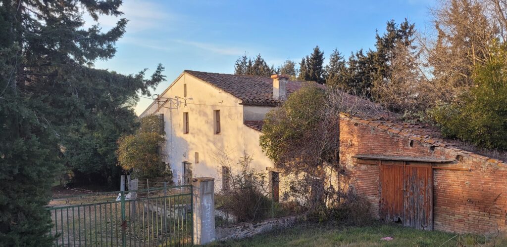 LA MASIA EN L'ACTUALITAT
